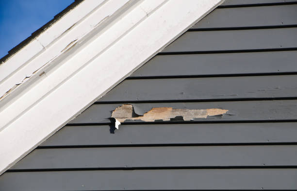 Best Aluminum Siding Installation  in Golden Triangle, NJ